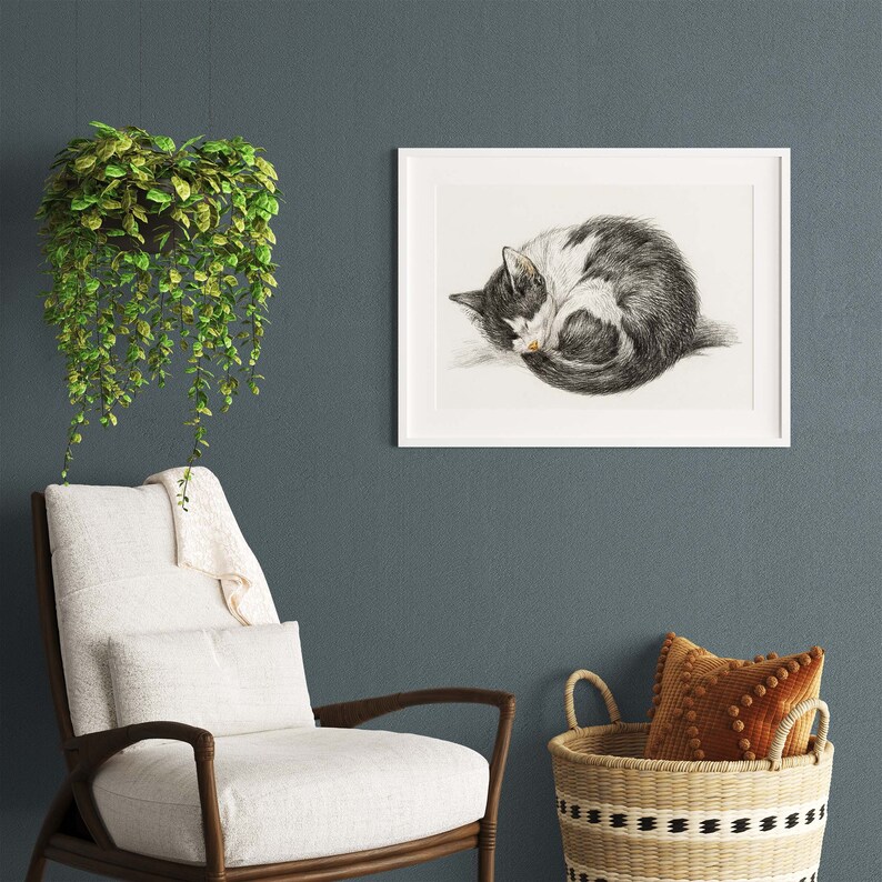 Black and White Drawing of a Sleeping Cat, Vintage Curled up Cat Wall ...