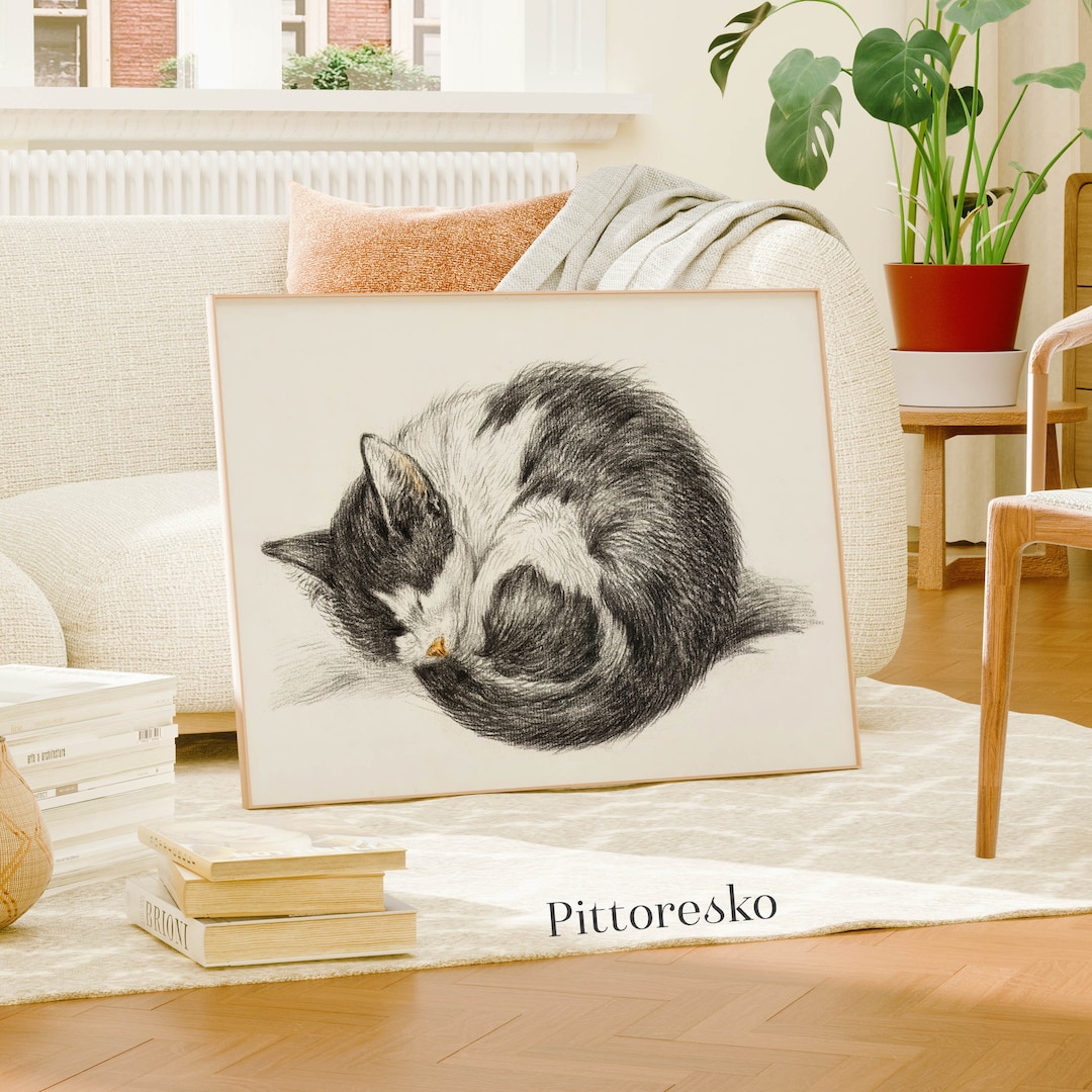 Black and White Drawing of a Sleeping Cat, Vintage Curled up Cat Wall ...