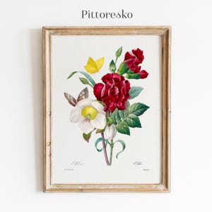 Puede incluir: Una ilustración botánica vintage de un ramo de flores, con una flor blanca con centro amarillo, un clavel rojo y una mariposa amarilla. La ilustración está enmarcada en un marco de madera clara e incluye el texto "Helleborus" y "Ollea".