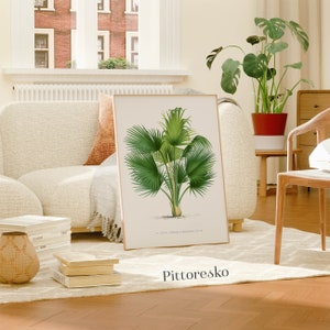 Botanical Wall Art Caribbean Palm Thrinax Barbadensis, Lesser Antilles Palm Poster, Vintage American Plant Art Print, DOWNLOAD