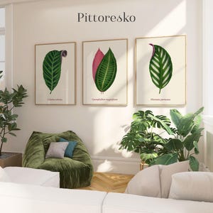 Set of 3 Digital Wall Art Green and Pink Tropical Leaves, Vintage Natural History Illustration, Boho Wall Art, Scandinavian Home Decor Gift
