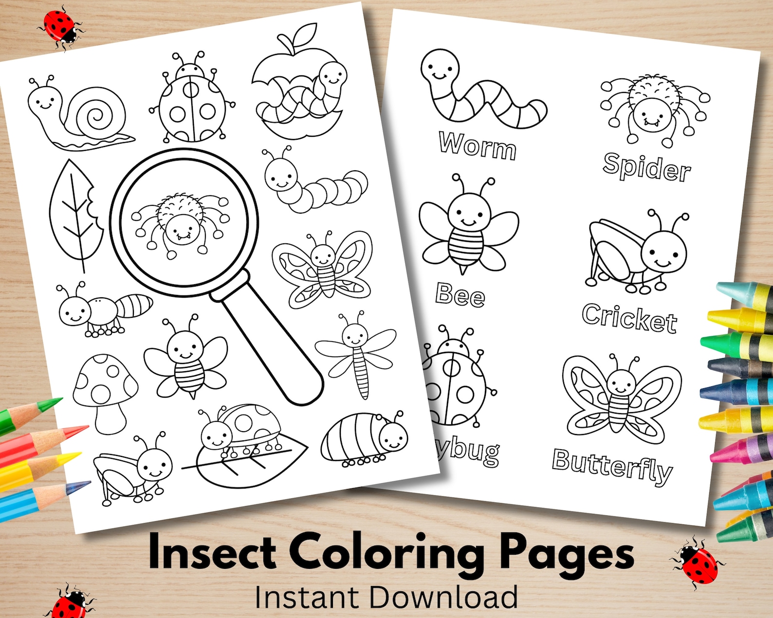 Printable Insect Coloring Pages, Educational Insect Coloring Sheets