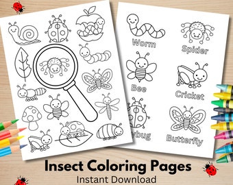 Insect Coloring Pages: Educational Bug Coloring Sheets (PDF)