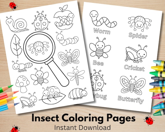 Insect Coloring Pages: Educational Bug Coloring Sheets (PDF)