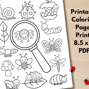 May include: A black and white printable colouring page featuring a magnifying glass over a spider, a snail, a ladybug, a butterfly, a caterpillar, a dragonfly, a mushroom, and a leaf. The page is 8.5 x 11 inches and is a PDF.