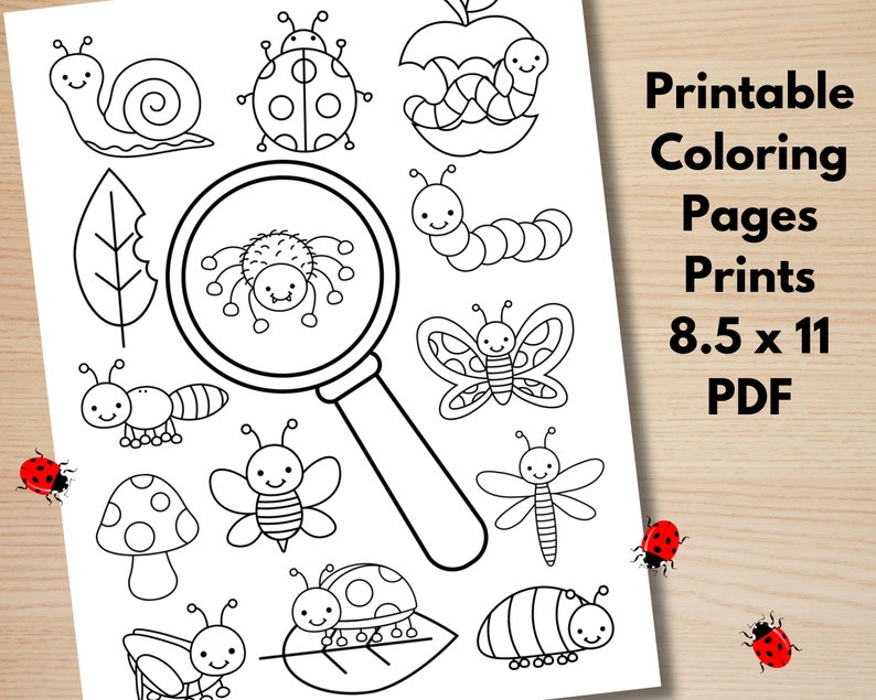 May include: A black and white printable colouring page featuring a magnifying glass over a spider, a snail, a ladybug, a butterfly, a caterpillar, a dragonfly, a mushroom, and a leaf. The page is 8.5 x 11 inches and is a PDF.
