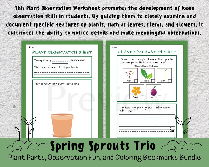 Flower Observation Worksheets.pdf Spring Plant Activity Worksheets: Observation Journal, Coloring ...