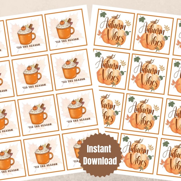 Printable Fall Gift Tags, Gift Bag Tags, Cupcake Toppers, Autumn Vibes, Tis The Season, Autumn Gift Labels, Instant Download,