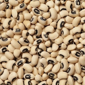 Sementes de feijão-manteiga Black Eyed Peas, feijão-nhemba, sementes Blackeye da Califórnia - pacote de sementes premium orgânicas, herdadas, não transgênicas