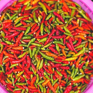 Thai Chili Pepper &#39;Bird&#39;s Eye&#39; Seed, Thai Dragon Chili Pepper, Heirloom Seeds, Non-Gmo Seeds, Organic Premium Seed Pack