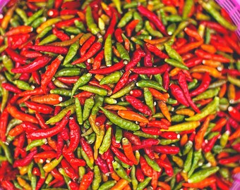 Thai Chili Pepper &#39;Bird&#39;s Eye&#39; Seed, Thai Dragon Chili Pepper, Heirloom Seeds, Non-Gmo Seeds, Organic Premium Seed Pack