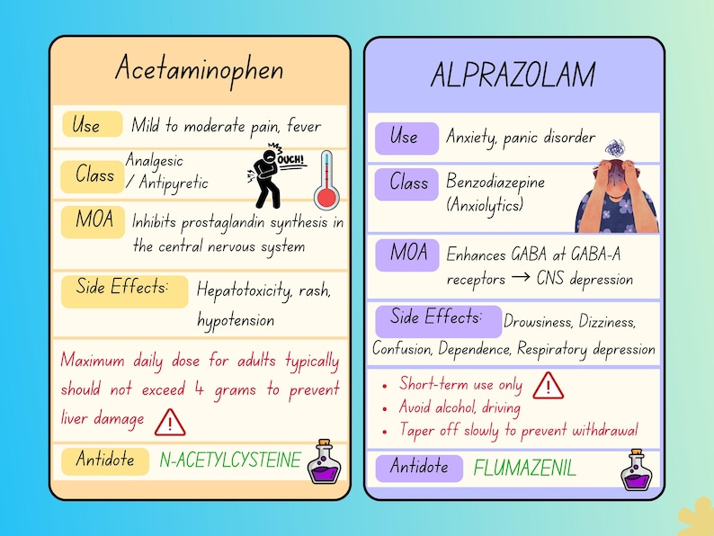 Top 100 Most Common Drugs Cheat Sheet | Quick Medication Reference for ...