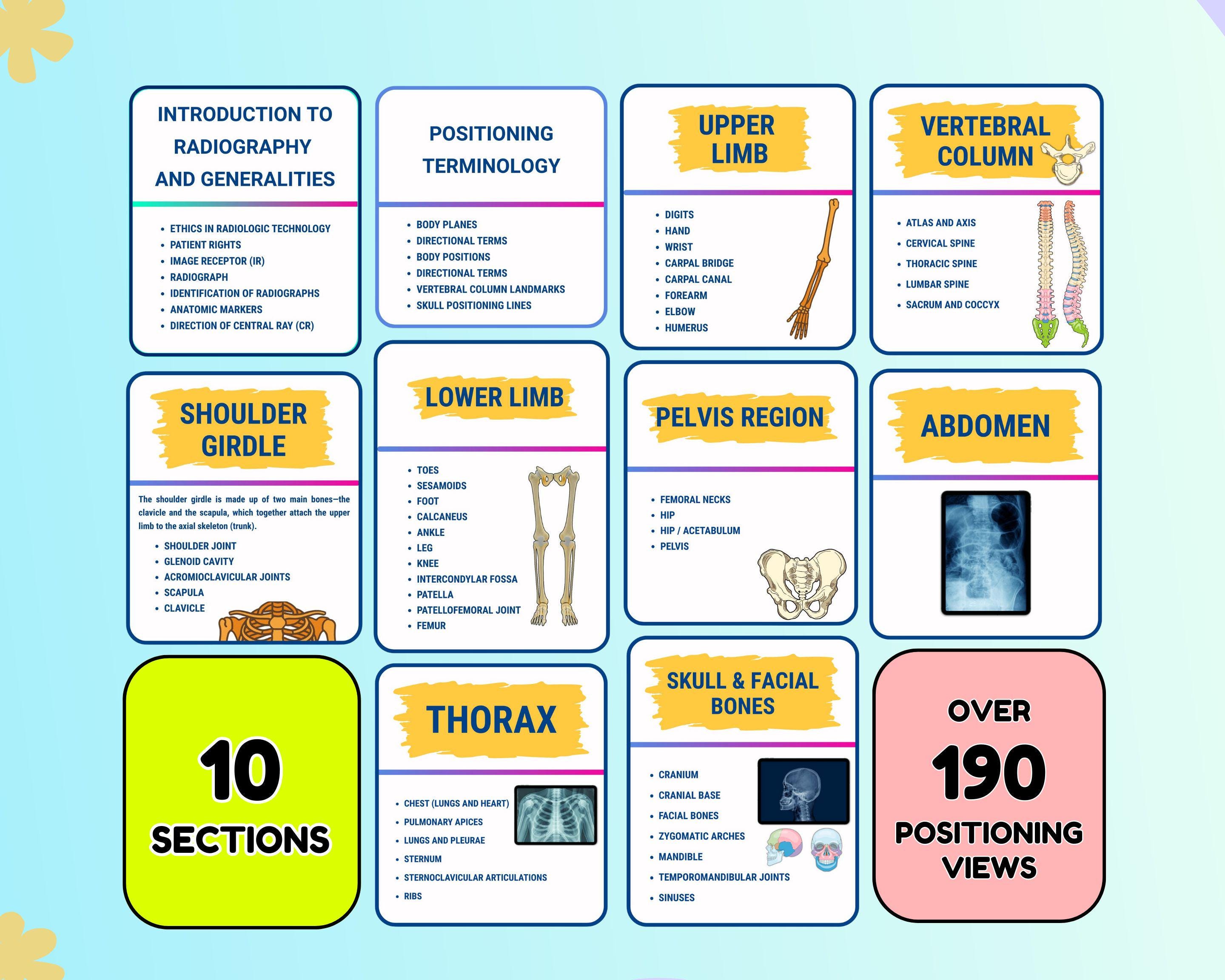 Veterinary Radiography Positioning Guide.pdf Xray Positioning Study Guide, Rad Tech Review Guide, Radiographic ...