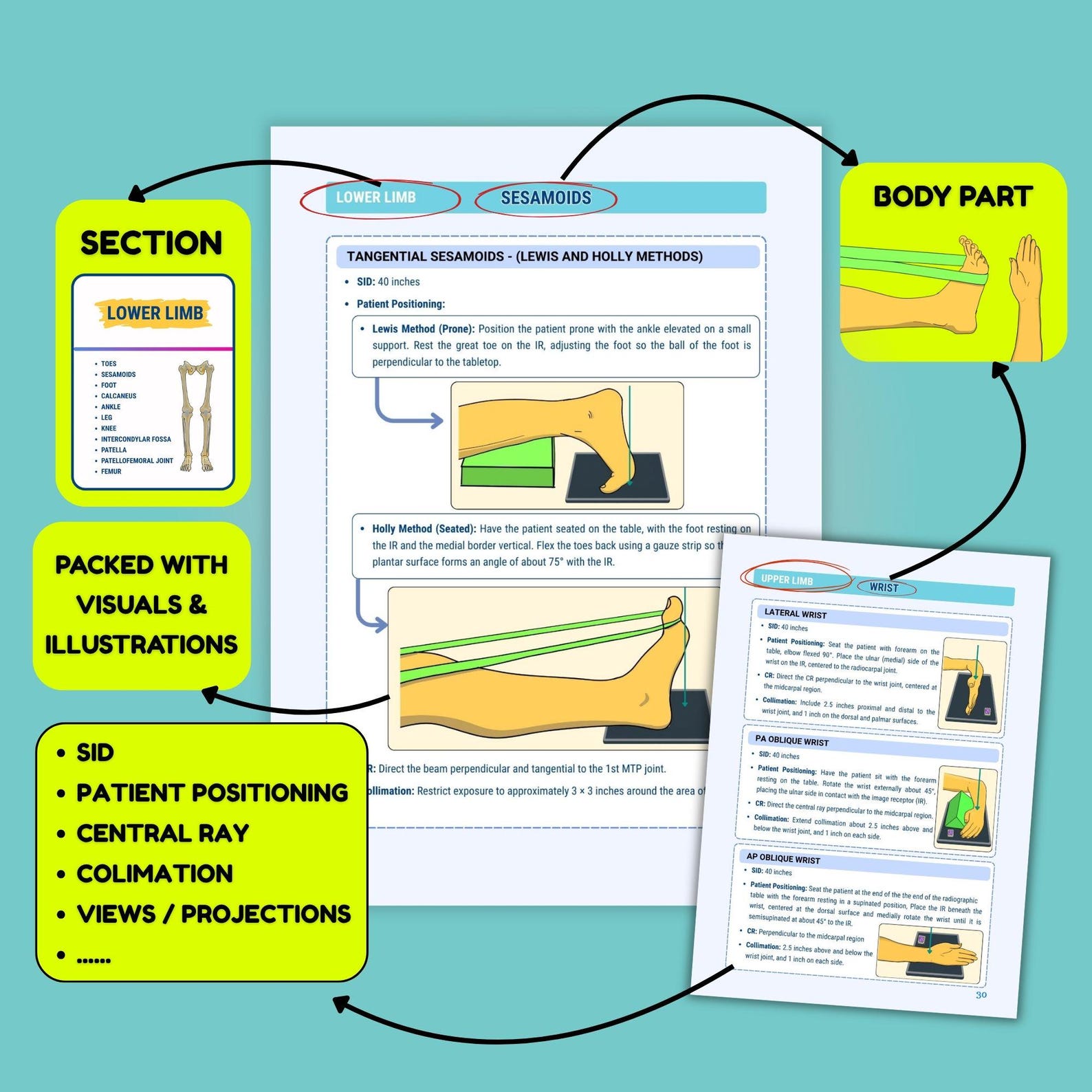 Positioning Rad Tech Xray Positioning Study Guide, Rad Tech Review Guide, Radiographic ...