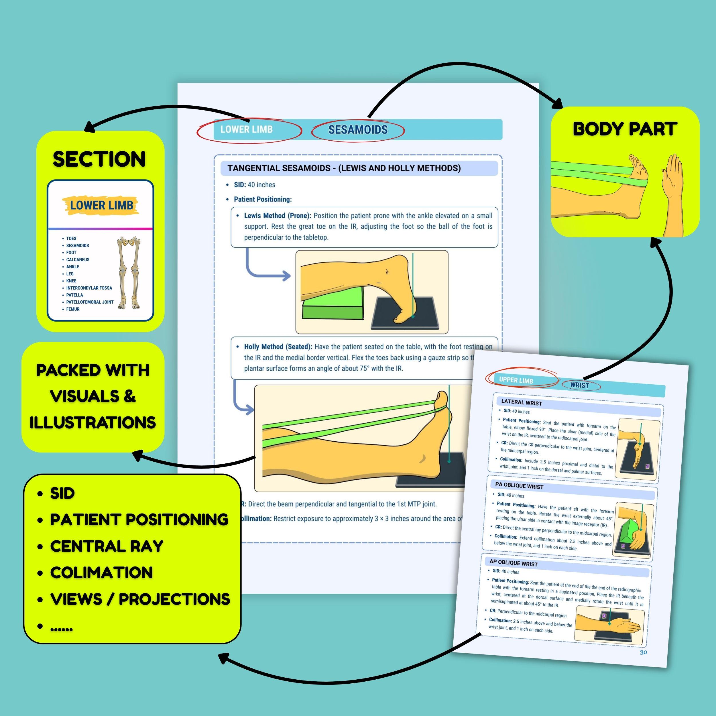 Radiographic Positioning Study Guide, 190+ X-ray Positions, ARRT Exam ...