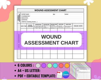Wound Assessment Chart for Nurses and Caregivers | Patient Skin Care Form | Printable PDF and Editable Templates