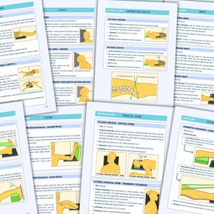Daily Emoplyee Positioning Guide.pdf Xray Positioning Study Guide, Rad Tech Review Guide, Radiographic ...