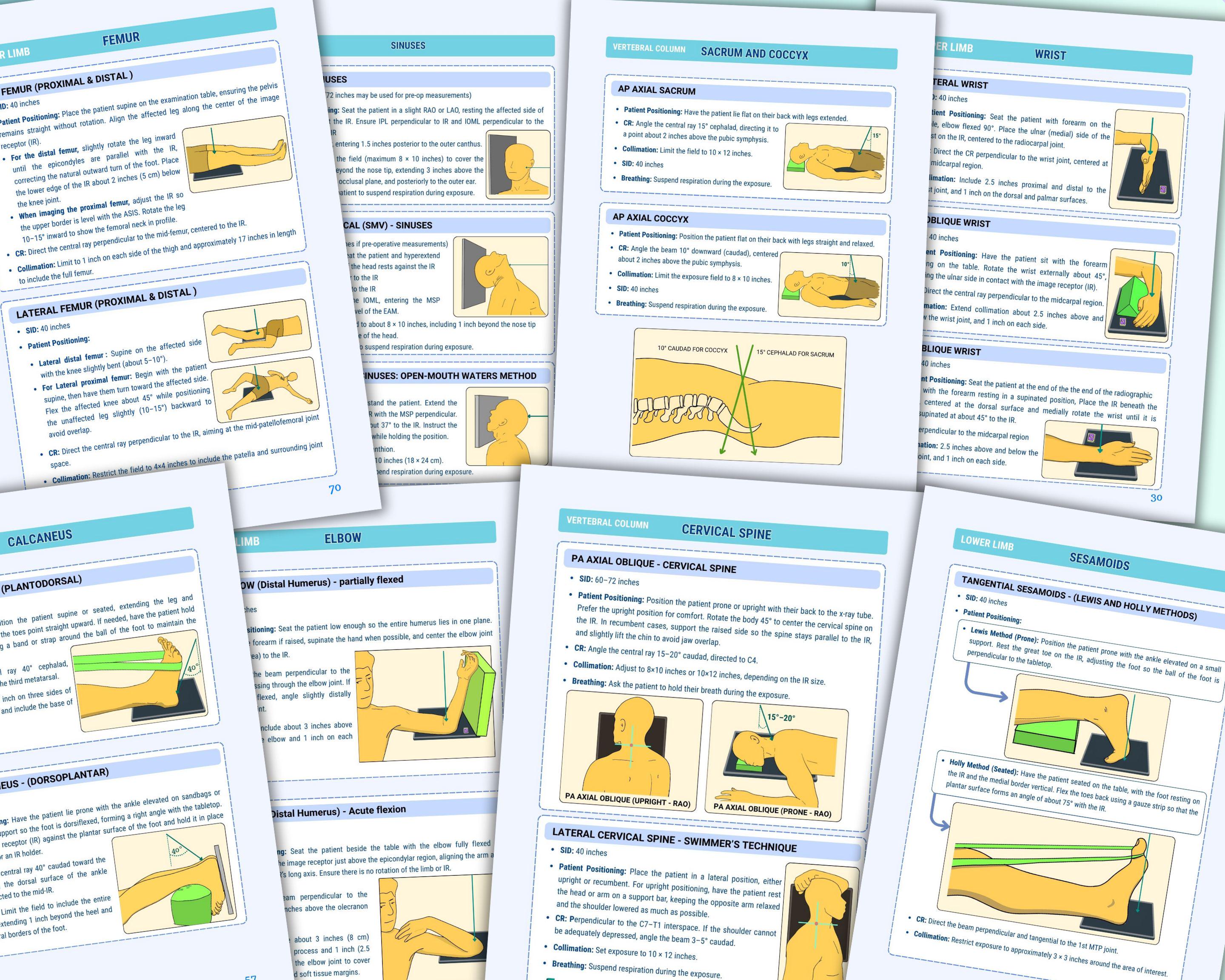 Positioning Rad Tech Xray Positioning Study Guide, Rad Tech Review Guide, Radiographic ...