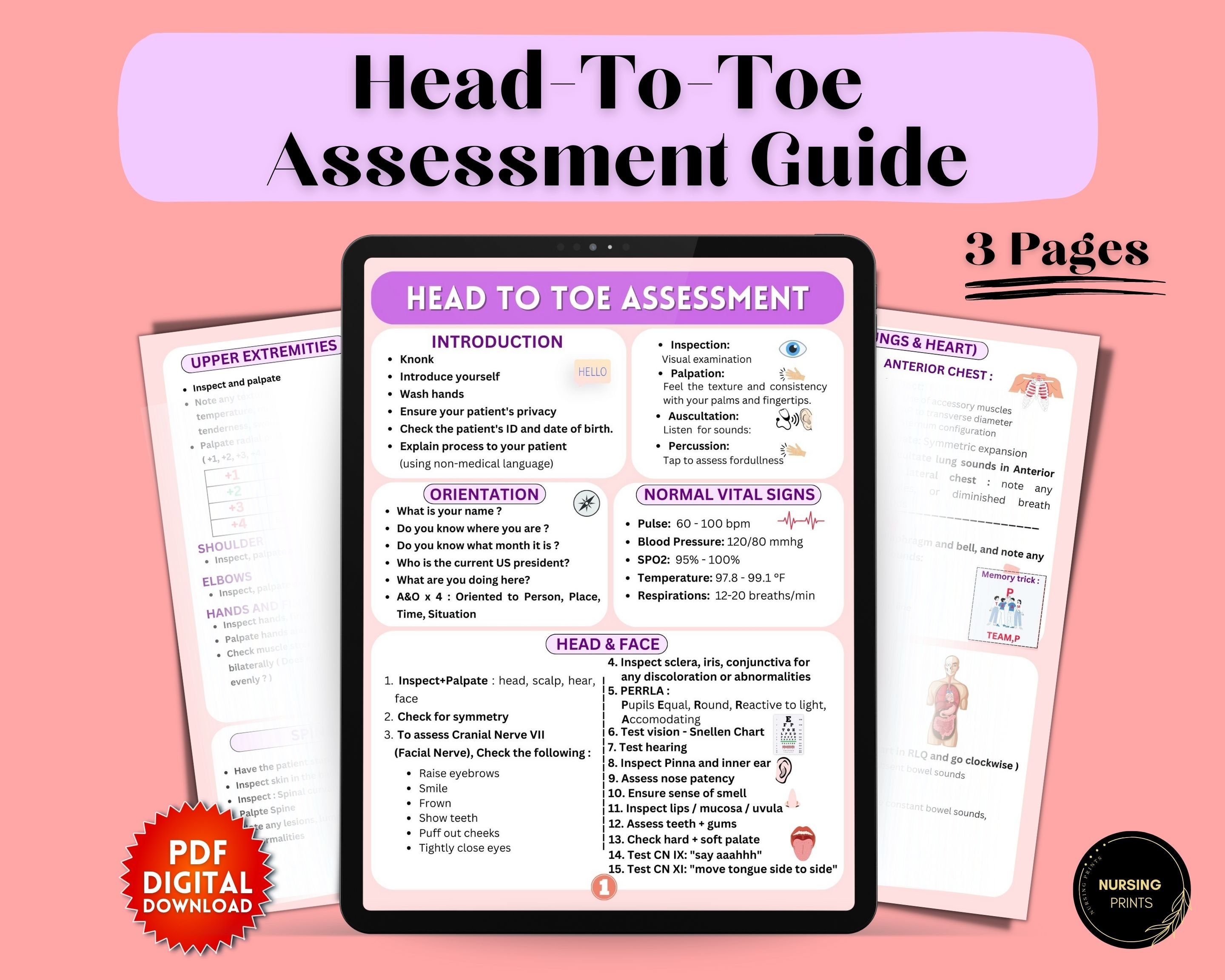 Head-to-toe Assessment Study Guide: Nursing Students (digital Download ...