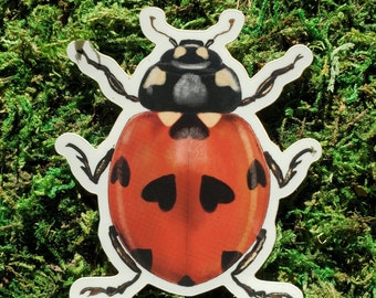 Lovebug Vinyl Sticker