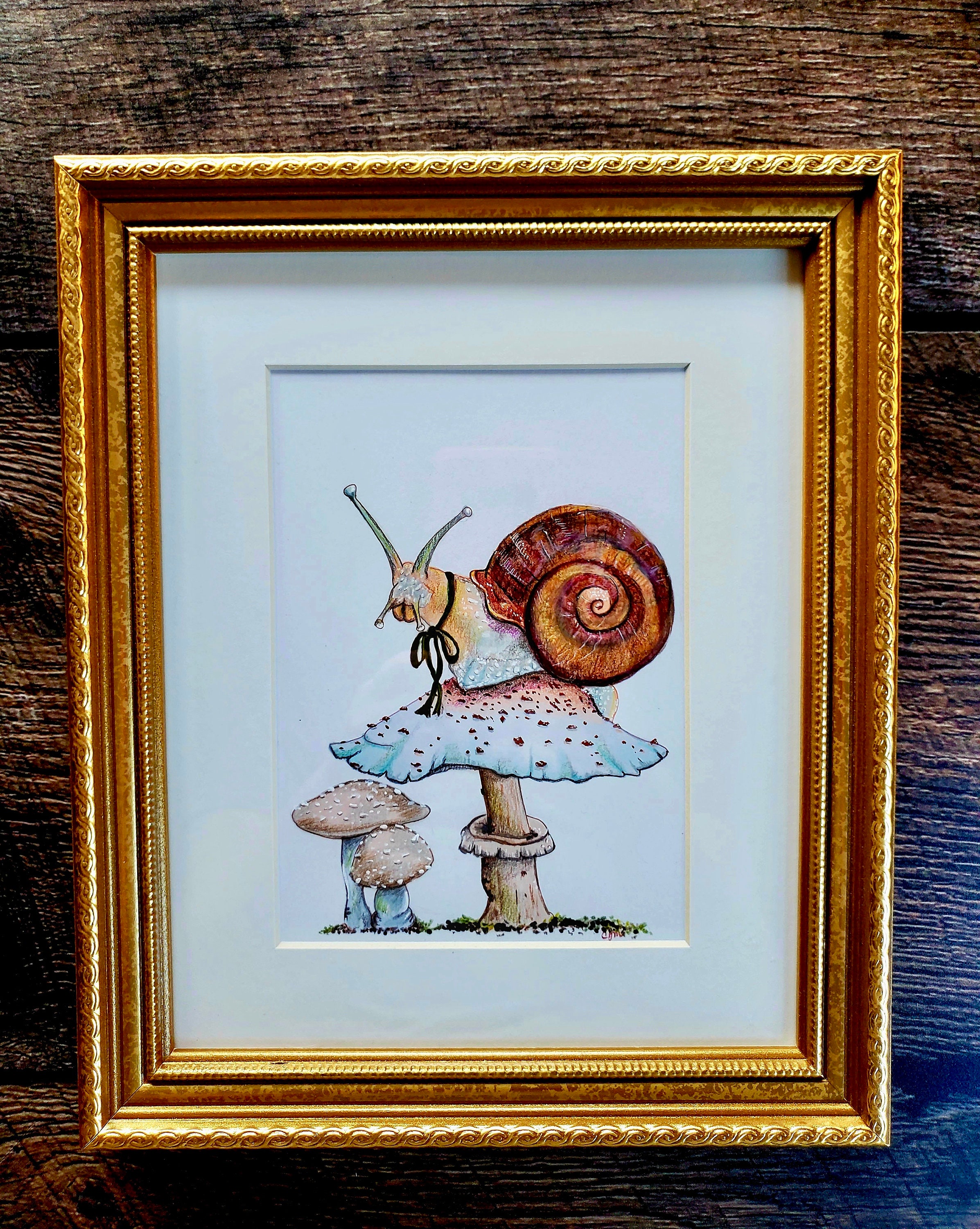 Mush Snail Framed Original