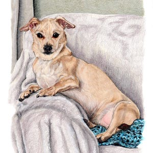 May include: A coloured pencil drawing of a tan dog with dark eyes, resting on a white blanket and a blue crocheted throw. The dog is lying down, with its front paws extended. The background is a light green and grey.