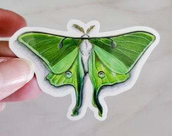 Luna Moth Vinyl Sticker