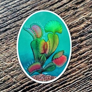 Venus Fly Trap Holographic Vinyl Sticker