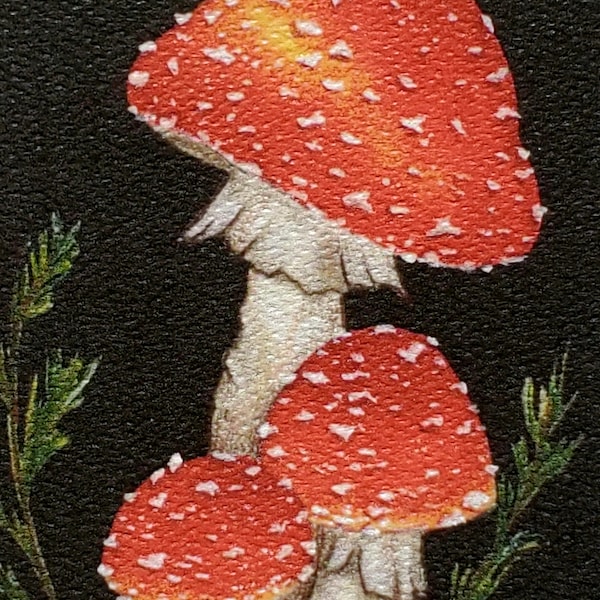 Amanita muscaria Fine Art Print