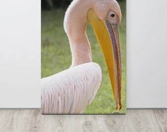 Canvasprint van een portret van een grote witte pelikaan, fotografie van een roze pelikaan, kustdecoratie voor aan de muur