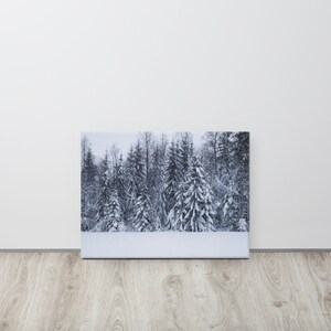 Neve Neve Neve