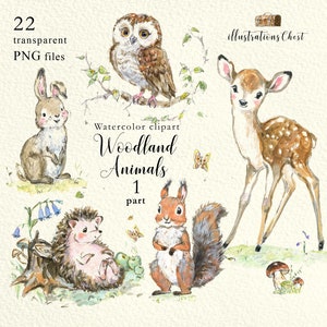 Bosque. Animales caprichosos: Búho, ardilla, clipart, acuarela, animales del bosque, baby shower, decoración infantil, lindo erizo, conejo, ciervo.