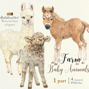 Boerderij. Gegolfde Lama Happy Veulen Trots Kalf Baby dieren Clipart, Aquarel kleine dieren clipart Alpaca baby, land, kinderkamer, baby-douche