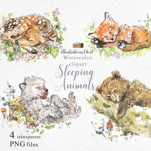 Watercolor Sleeping animals Clipart, Wolf sleeping Clipart, Bear Sleeping Clipart, Fox Sleeping Clipart, Fawn Sleeping clipart