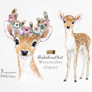 Baby Hertenprinses Clipart. Herten png, Leuke Aquarel bosdieren Clipart, Animal Princess Baby Shower, Hertenkwekerij decor Commercieel gebruik