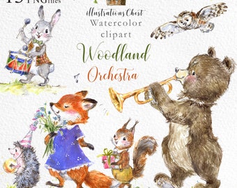 Musical orchestra animals clipart - Cute Woodland orchestra - Woodland Baby animals musicians clipart Musicians Forest animals Baby shower