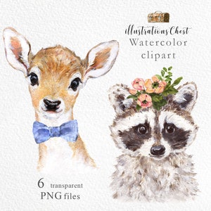 Raccoon and Deer Clipart. Cute Watercolor forest animals Clipart, Baby Shower, Deer clip art png, Deer and Raccoon Nursery decor