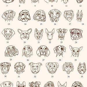 May include: A series of 47 line drawings of different dog breeds. Each dog's head is illustrated in a simple outline style, with numbers identifying each breed. The illustrations are in a neutral colour palette.