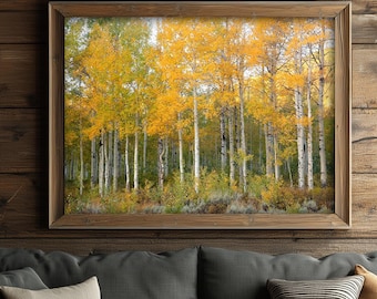 Golden Aspen Wall Art – Wasatch Back Utah – Fall Mountain Forest Photography – Autumn Leaves Rustic Cabin Decor Print