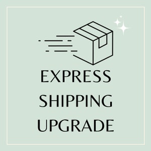1 to 3 Day Shipping Upgrade, Fast Shipping, Upgrade to Express Shipping