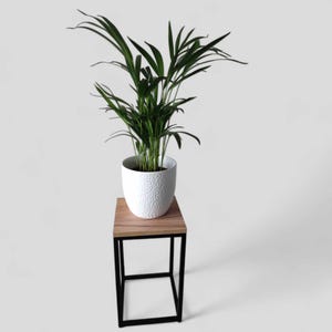 Pflanzenständer schwarz, Blumenständer, Pflanzenregale, Pflanzenhalter, Pflanzenständer, Hoher Blumenständer, Topfhalter, Metall, Holz, Innenbereich