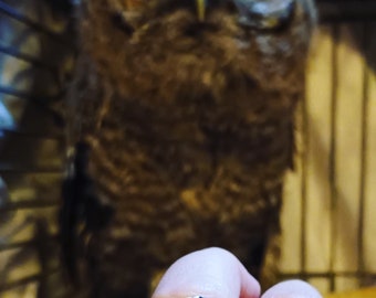 Bague chouette / hibou couleur yeux witch