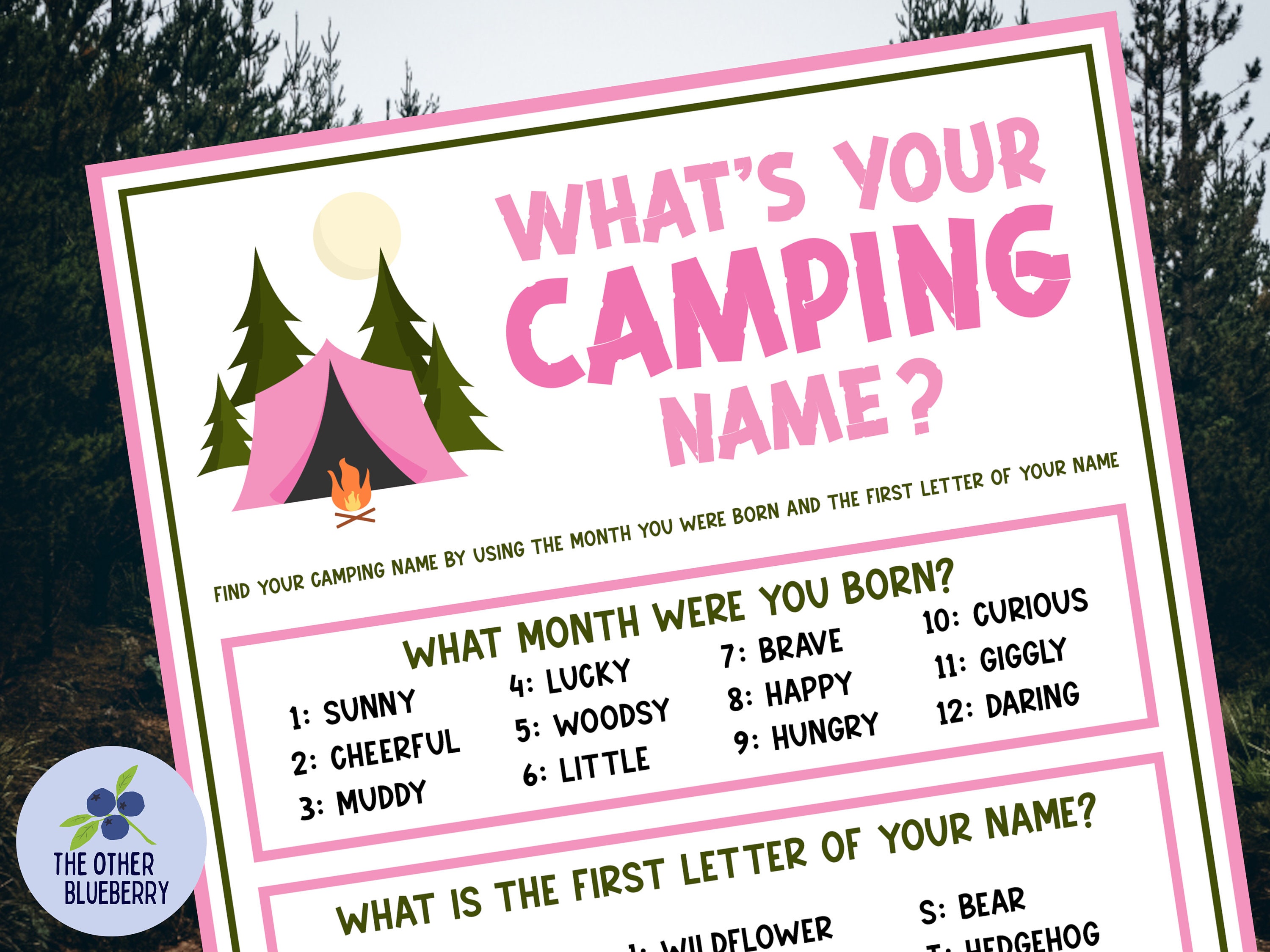 What's Your Camping Name Game With Name Tags & Sign Camping Party Game