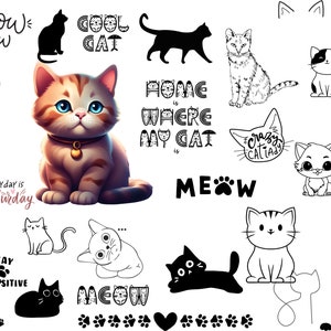 Katze SVG Bundle, Katze svg, Kätzchen svg, Katzendame svg, verrückte Katzendame svg, Katzenliebhaber svg, Katzen svg, Kitty svg, Katzen SVG, Kätzchen svg, Katzendamen svg