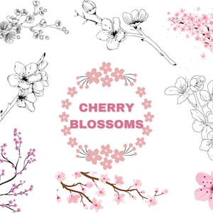 Pacchetto SVG di fiori di ciliegio / Set di clipart di Sakura / Stampa di stampe floreali da parete / Decorazioni primaverili / Regalo per gli amanti dei fiori