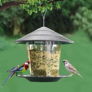 Hanging Bird Feeder for Garden – Gazebo Style Outdoor Wild Bird Feeder | Garden Décor & Backyard Wildlife Accessory| best birds feeder 2025