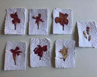 May include: Seven handmade paper cards with pressed red and yellow flowers. The cards have a textured, off-white surface and are arranged on a light background. The flowers vary in shape and size, adding a natural, artistic touch.