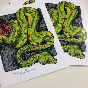 May include: A green tree python with yellow markings is curled around a branch. The snake is on a black background with the text "Morelia viridis GREEN TREE PYTHON" written below it.