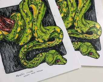 8,5 x 11 groene boompython Fine Art-print