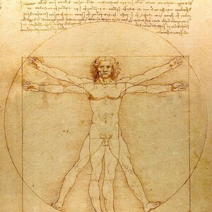 Pode incluir: Desenho a s&eacute;pia do Homem Vitruviano, um estudo das propor&ccedil;&otilde;es humanas de Leonardo da Vinci. O homem &eacute; retratado dentro de um quadrado e um c&iacute;rculo, com os bra&ccedil;os e as pernas estendidos. O desenho &eacute; rodeado por texto manuscrito.